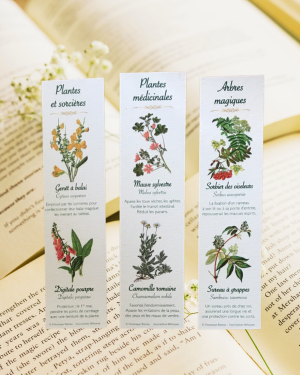 Lot de 3 marque-pages botaniques (cueillette de saison)