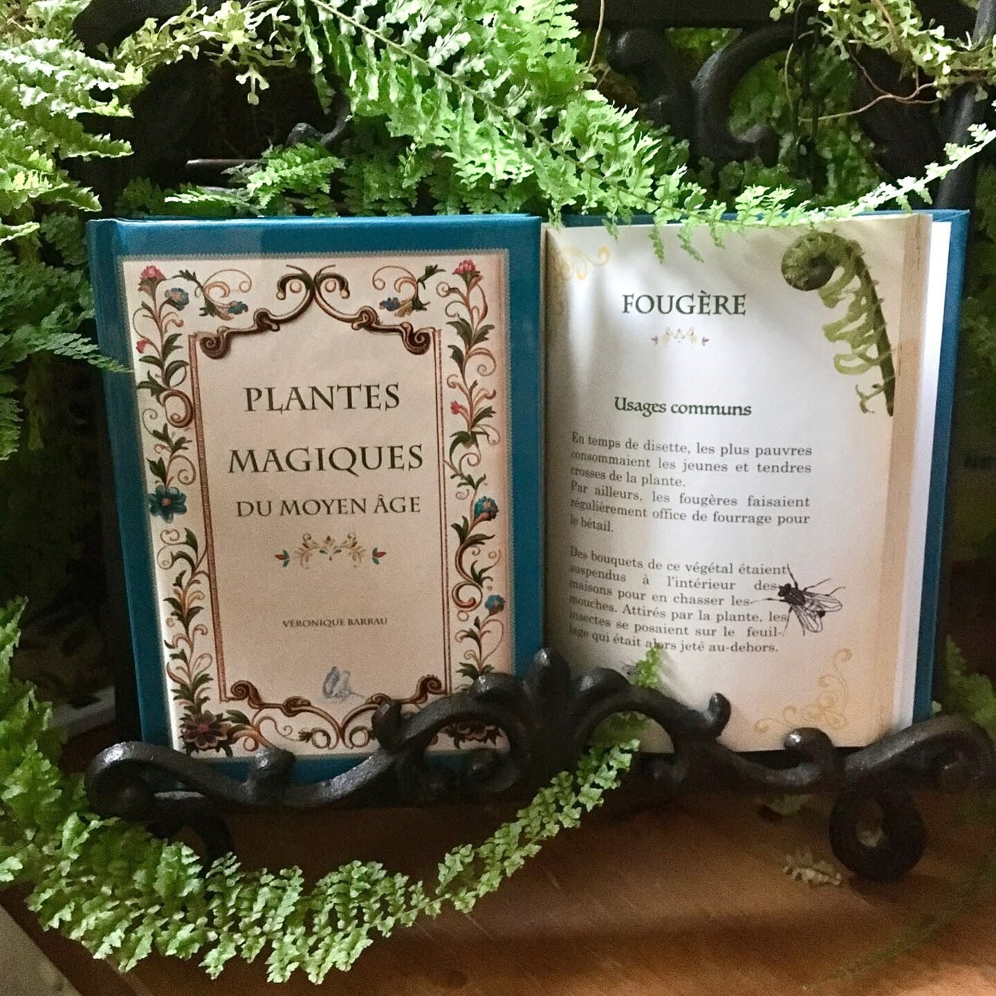Plantes magiques du Moyen Âge