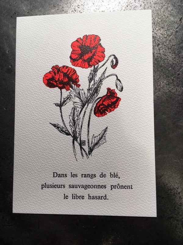 Carte postale typographique - coquelicots