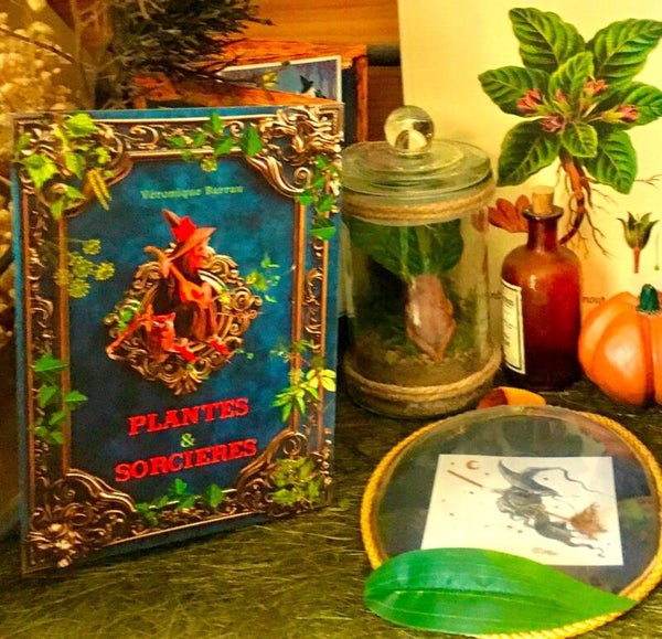 "Plantes et sorcières"