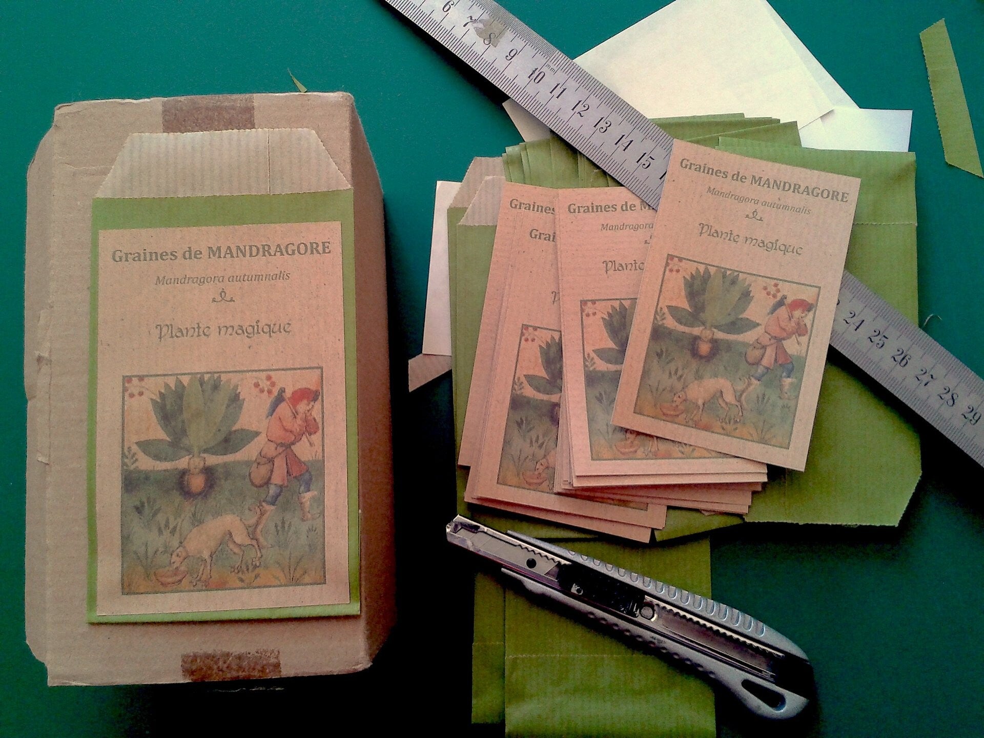 Graines de mandragore et livret