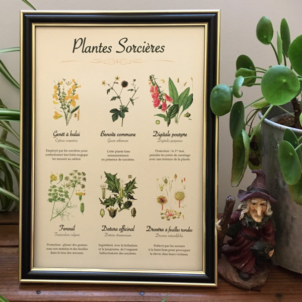 Affiche botanique "Plantes et sorcières"