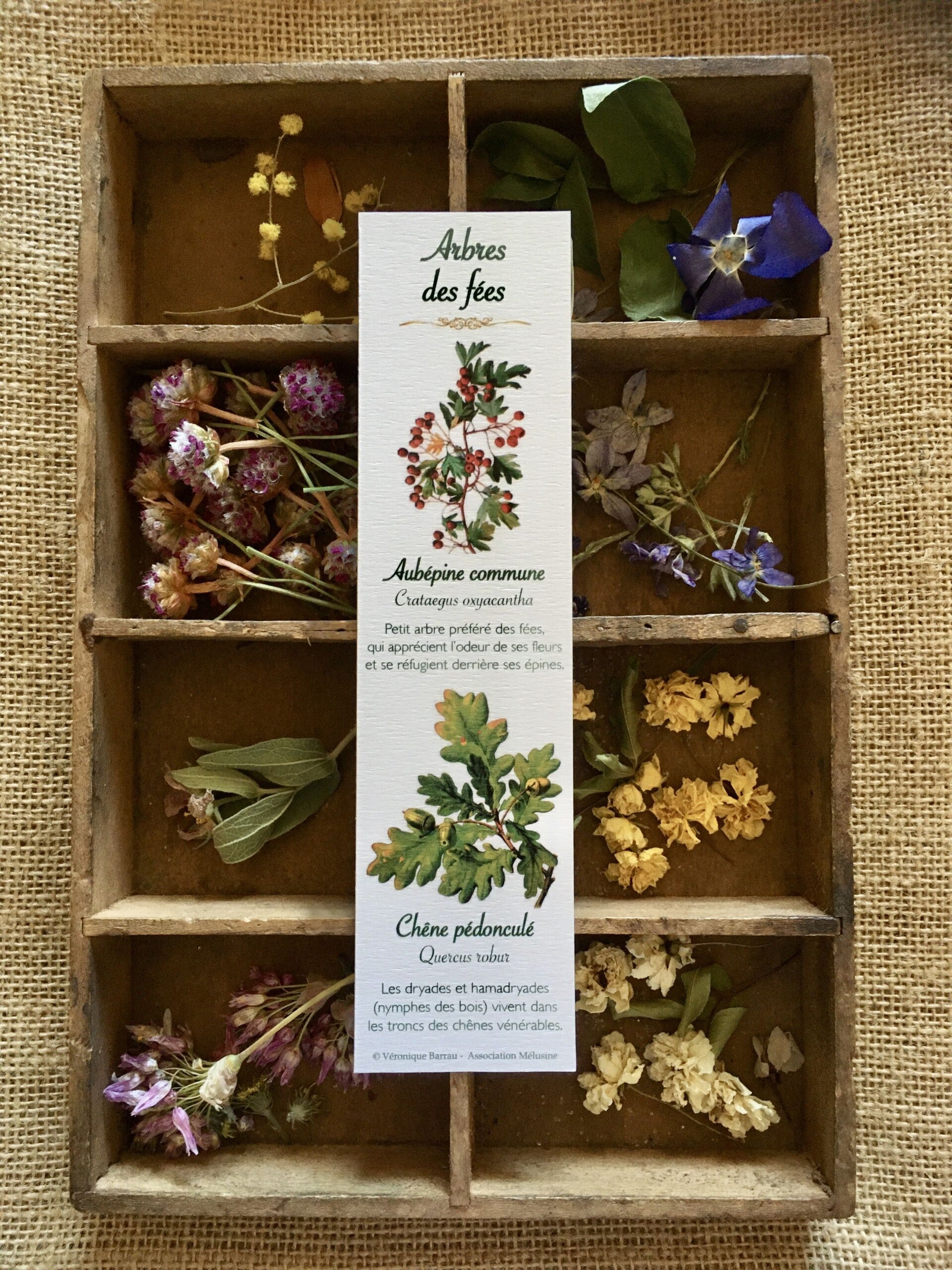 Marque-pages "Arbres des fées"