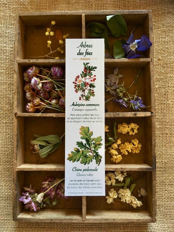 Marque-pages "Arbres des fées"