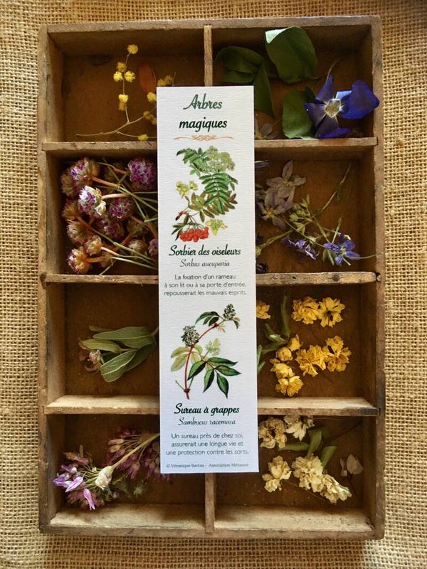 Marque-pages "Arbres magiques"