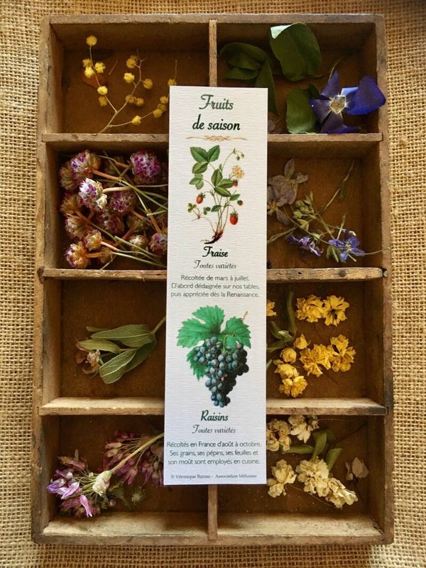 Marque-pages "Arbres fruitiers"