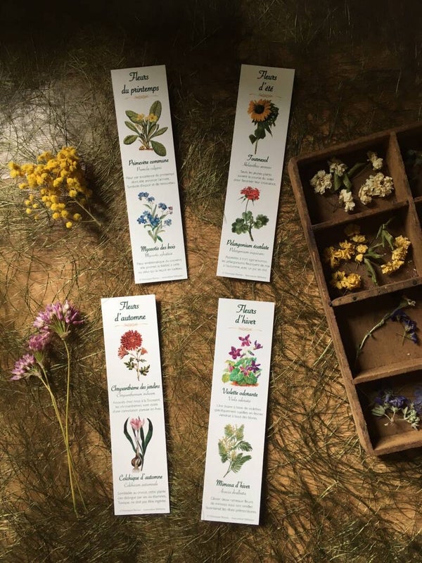 Lot de 4 marque-pages botaniques (cueillette des saisons)