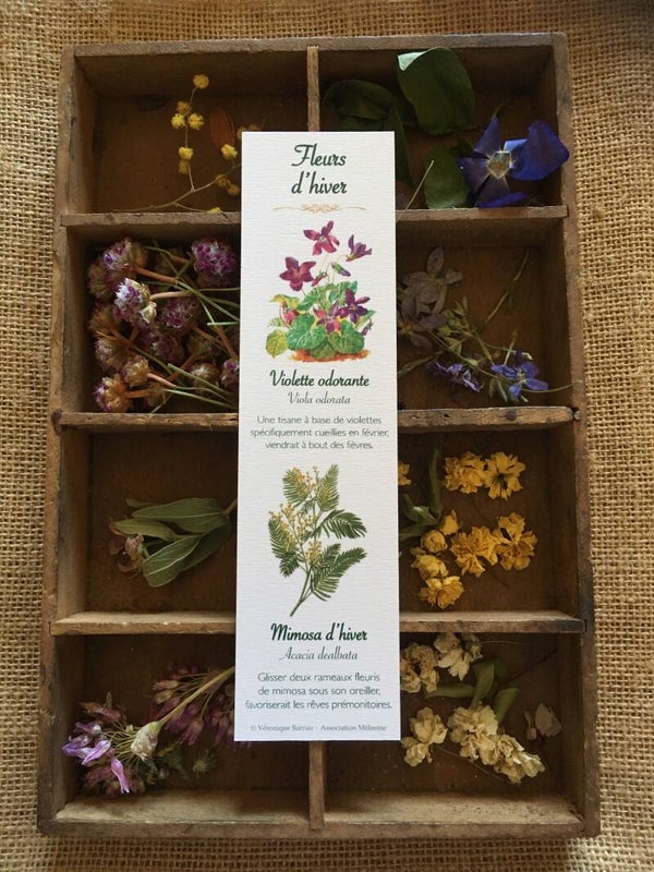Marque-pages "Fleurs d'hiver"