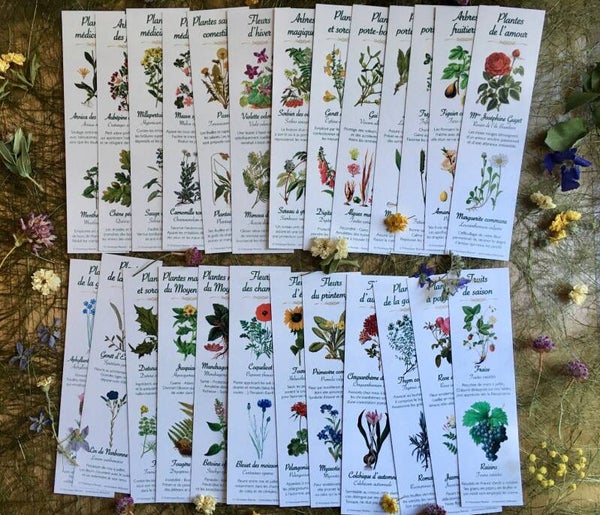 Lot de 4 marque-pages botaniques à choisir parmi les modèles disponibles