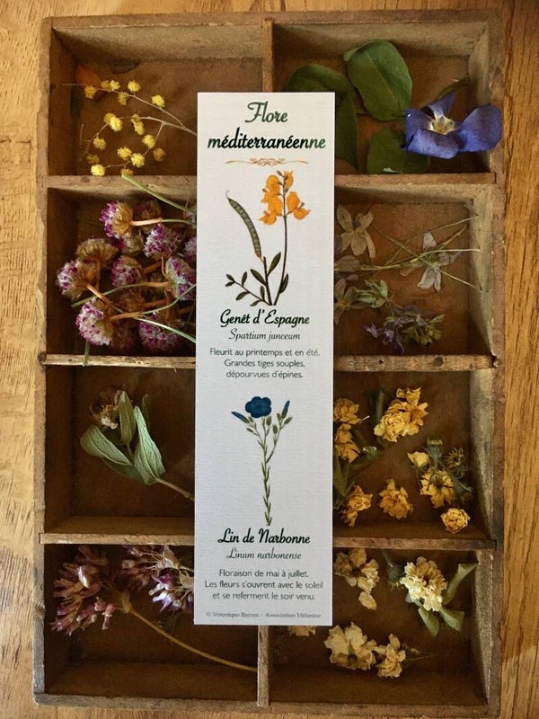 Marque-pages "Flore méditerranéenne", cueillette n°2