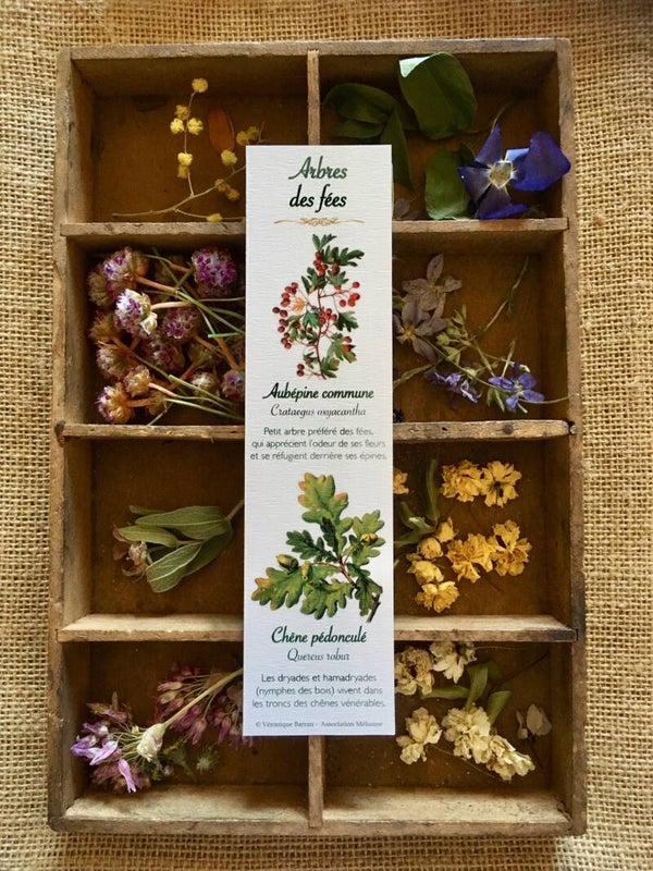 Marque-pages "Arbres des fées"
