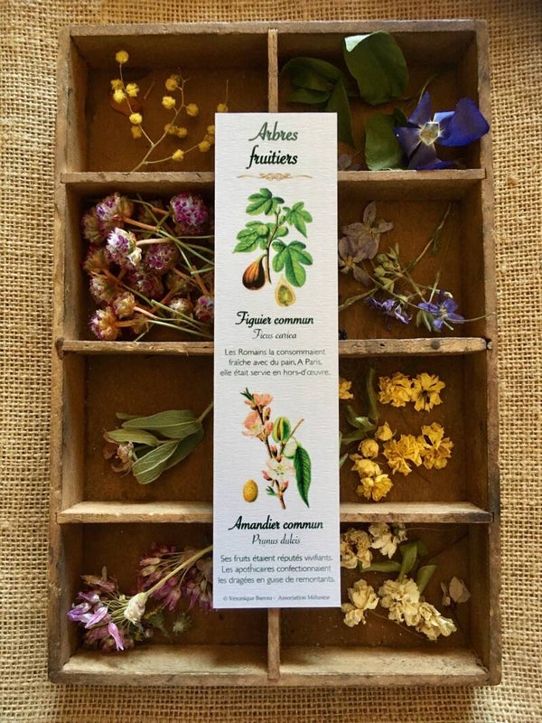 Marque-pages "Arbres fruitiers"