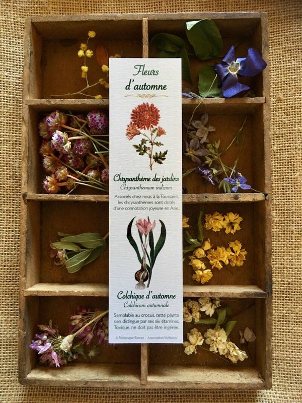 Marque-pages "Fleurs d'automne"