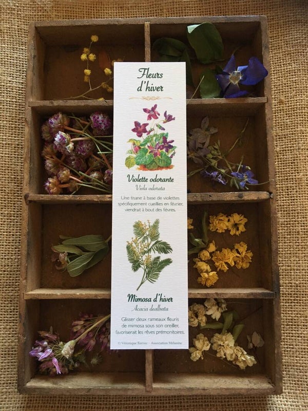 Marque-pages "Fleurs d'hiver"