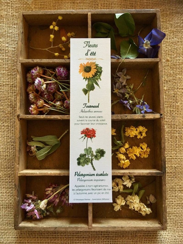 Marque-pages "Fleurs d'été"