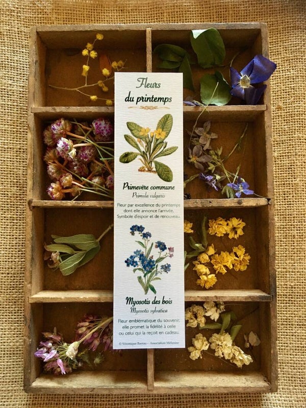 Marque-pages "Fleurs du printemps"