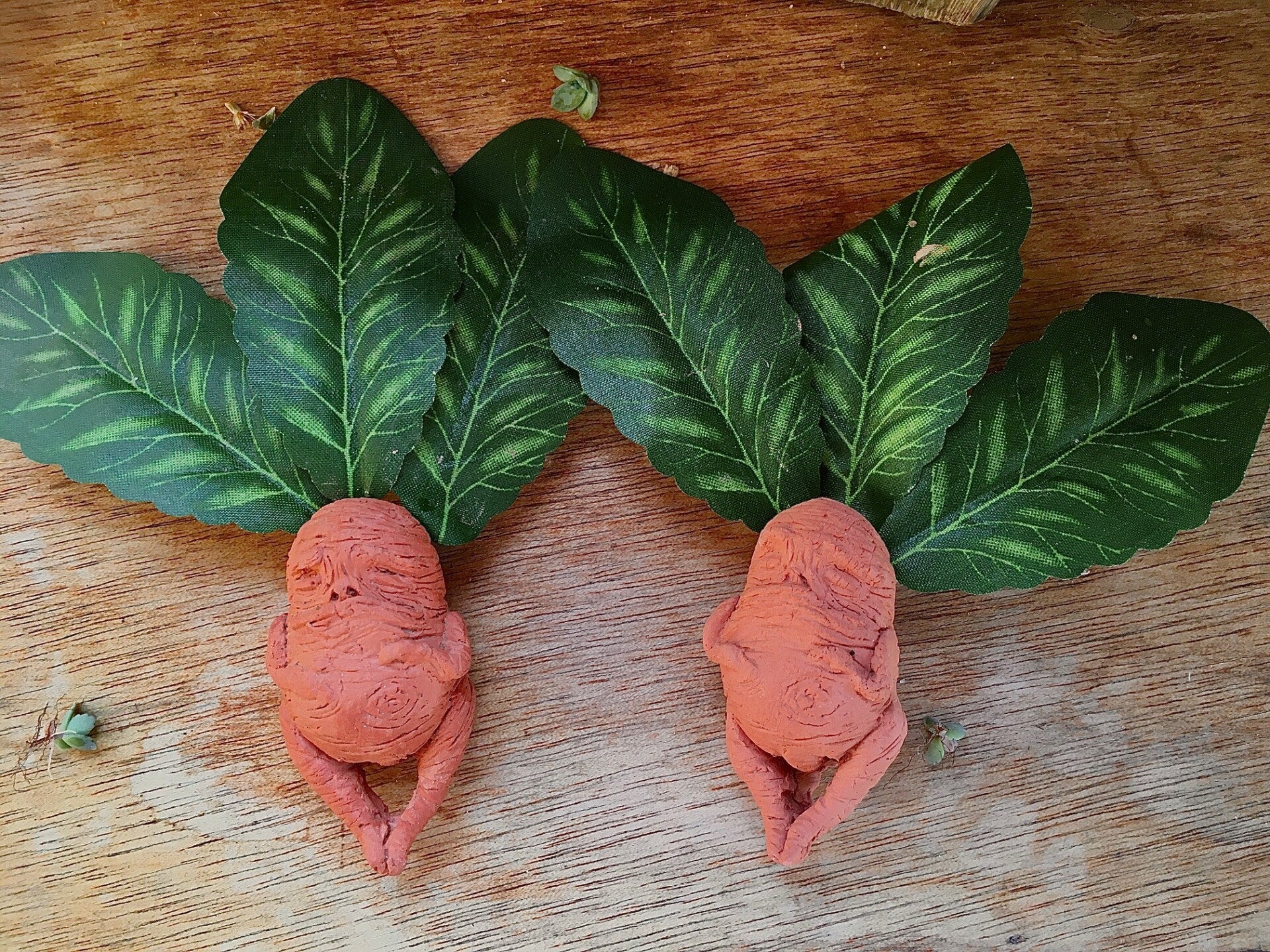 Animation "Plantes sorcières et talismans"