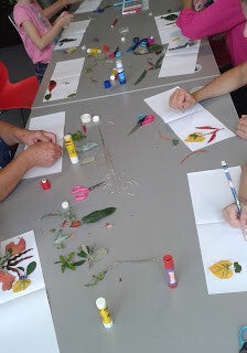 Herbier magique - atelier plantes