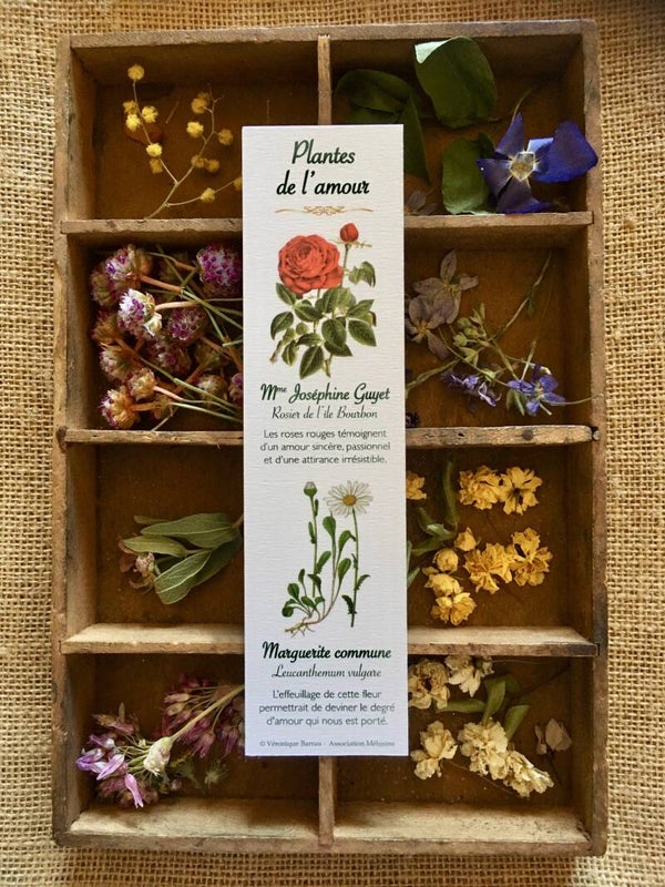 Marque-pages "Plantes de l'amour"