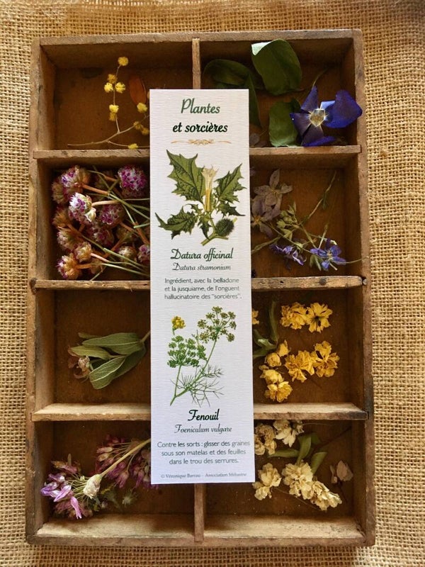 Marque-pages "Plantes et sorcières", cueillette n°2