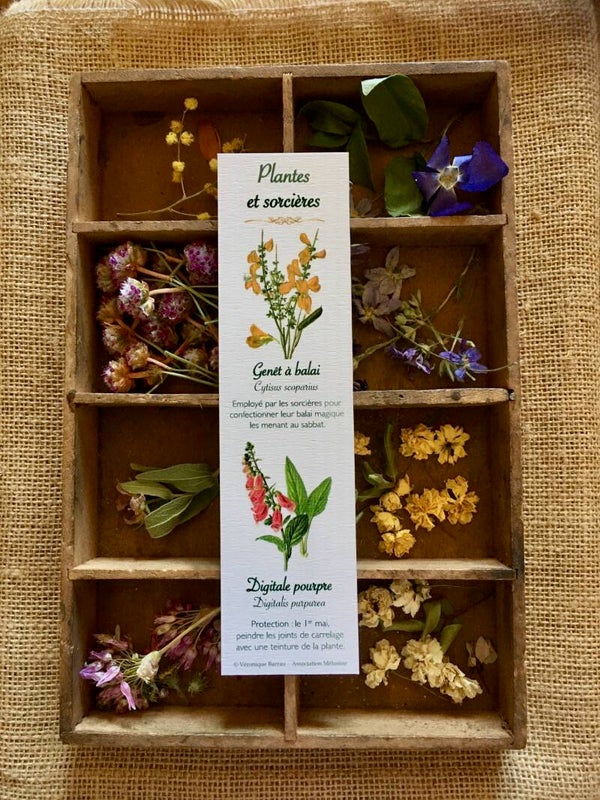 Marque-pages "Plantes et sorcières", cueillette n°1