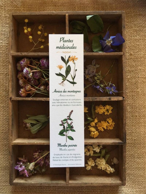 Marque-pages "Plantes médicinales", cueillette n°2
