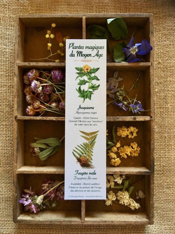 Marque-pages "Plantes magiques du Moyen Âge", cueillette n°1