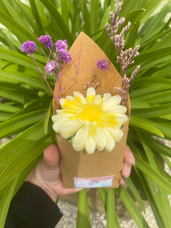 Marguerite « fleur de tiaré »