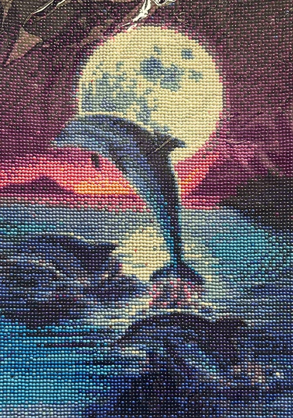 Dolphin jumping out of the sea at sunset