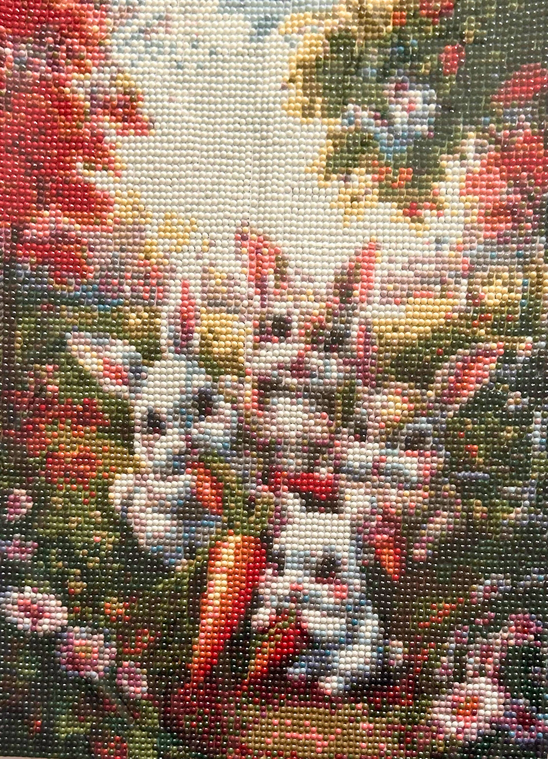 Bunnies eating carrots