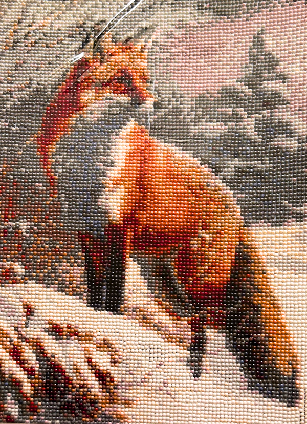 Gorgeous red fox on the snow