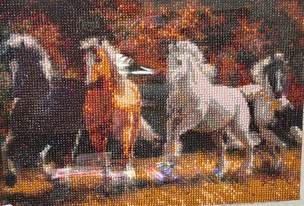 Wild horses