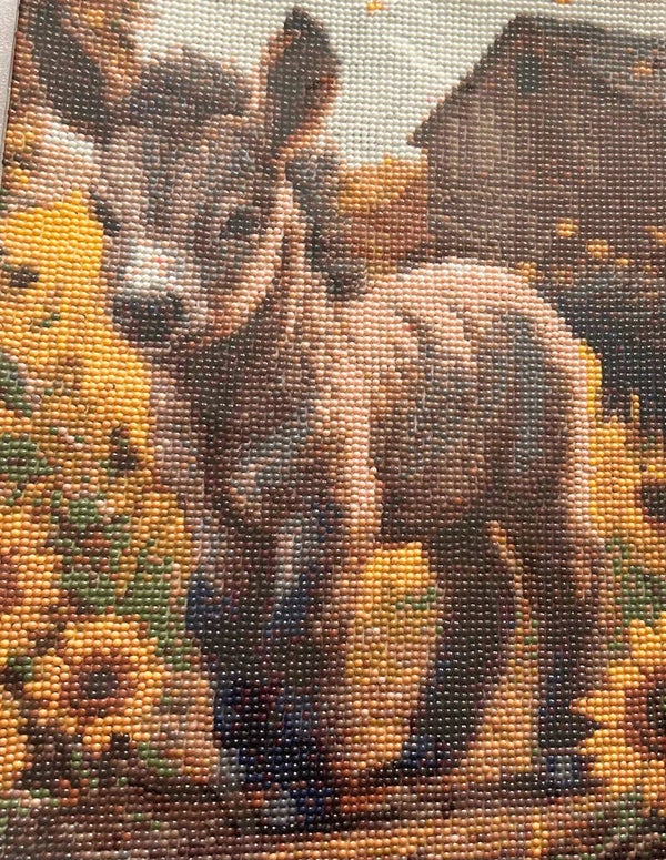 Donkey surrounded by sunflowers