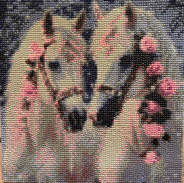 Two white horses