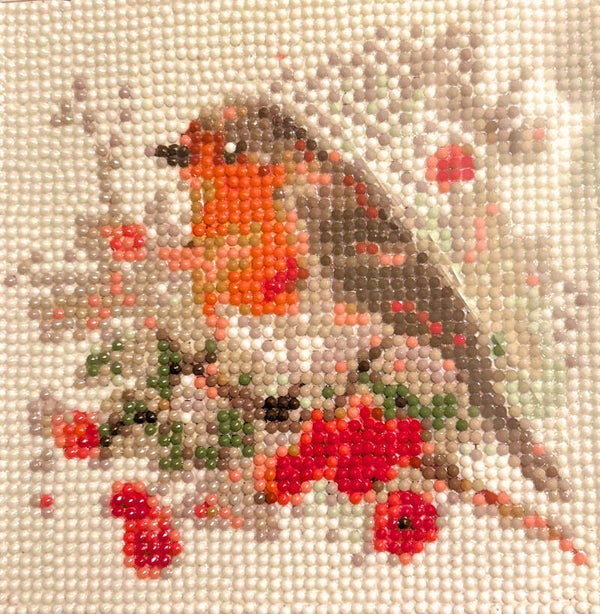 Robin in a branch of red flowers