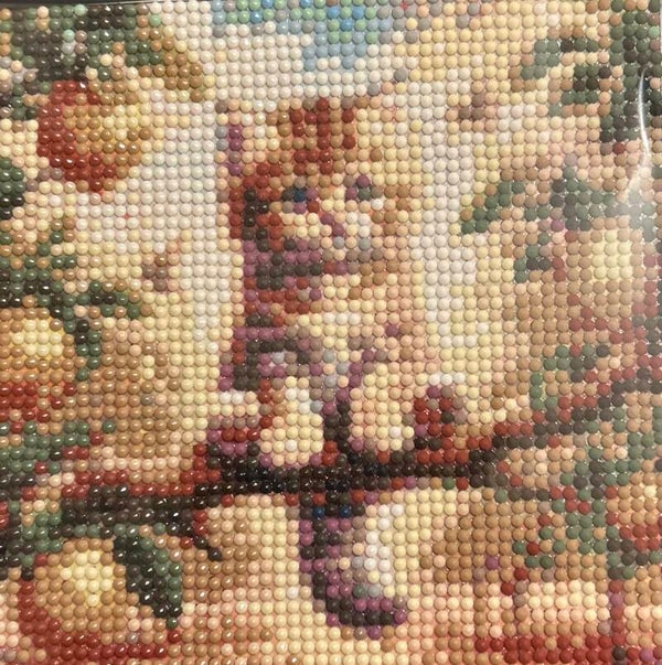 Kitten in a tree