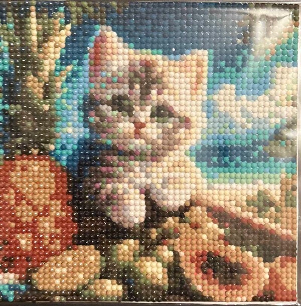 Kitten on a pile of fruit
