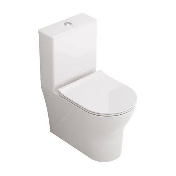 INODORO NICO - FOSSILNATURA