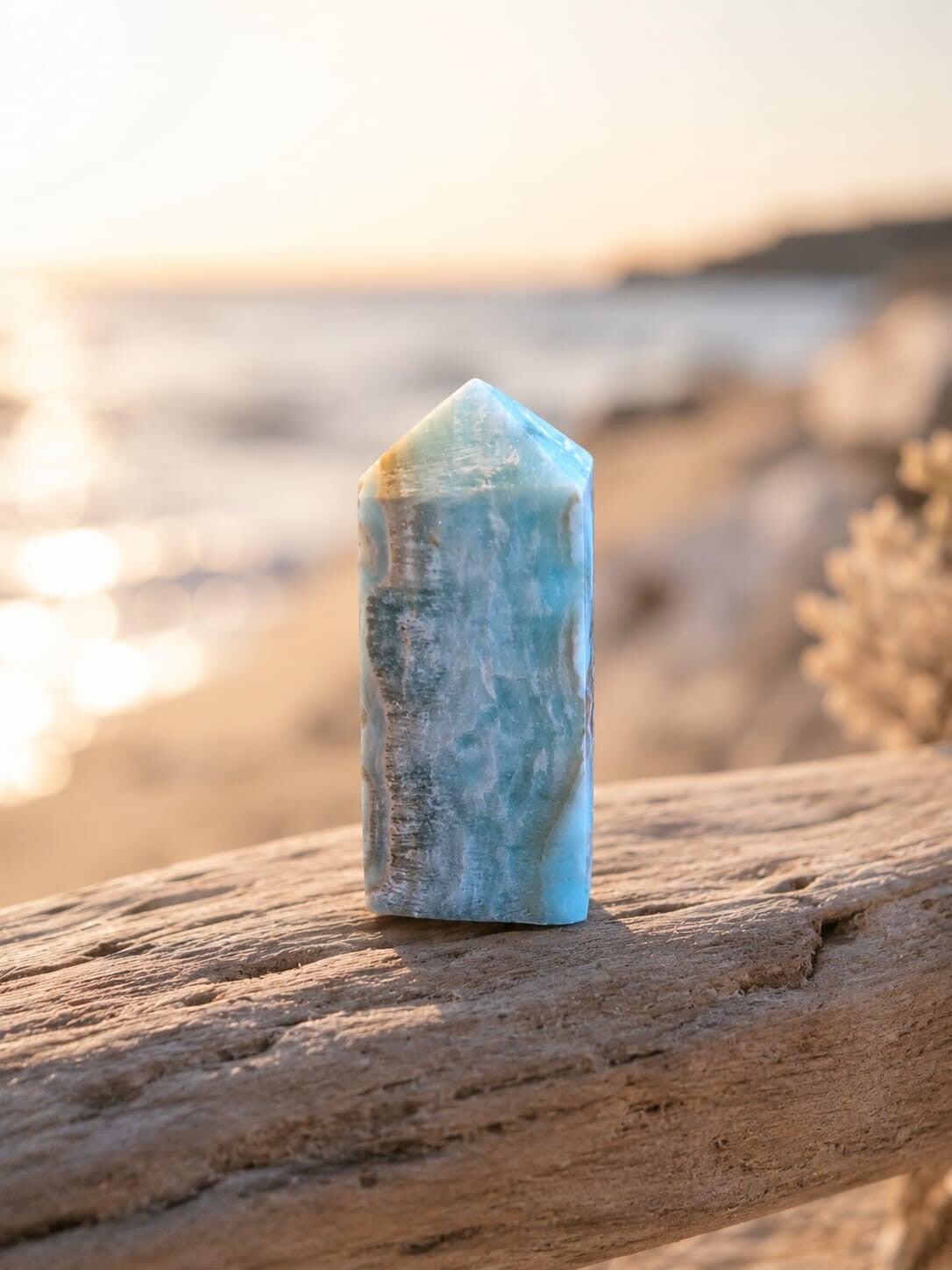 Caribbean Calciet Toren
