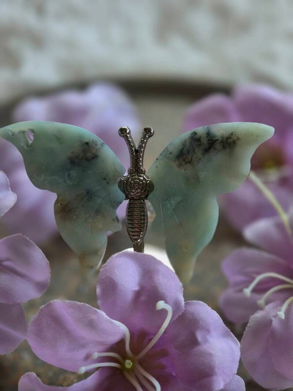 Vlinder-Carving Caribbean Calciet
