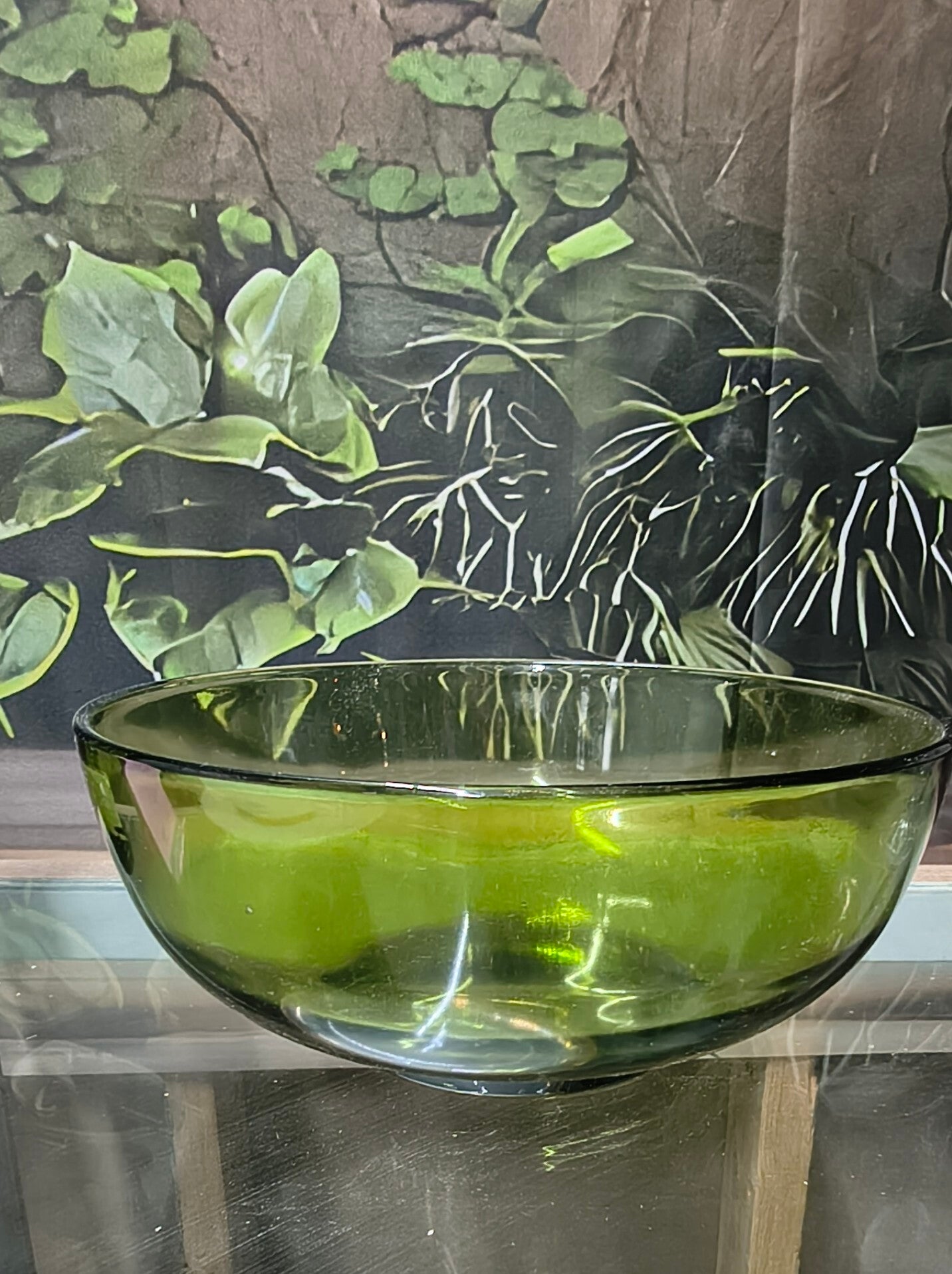 Mid-Century Avocado / Olive Green Glass Serving Bowl