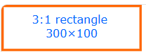 3:1 Rectangle — 300 × 100