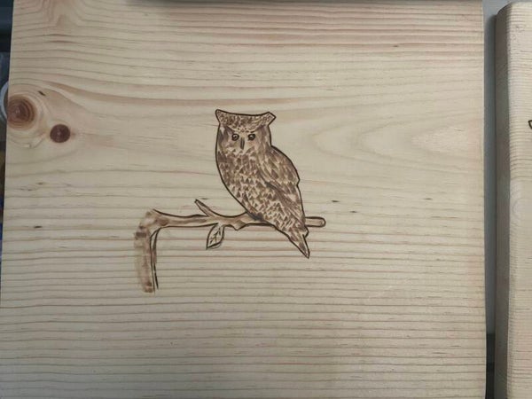 Owl Decoration