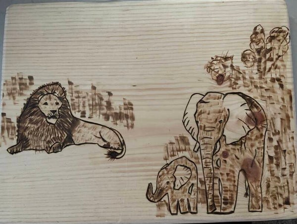 Safari Animals