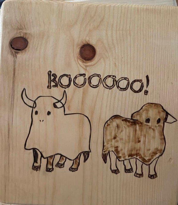 Booooo! Cows