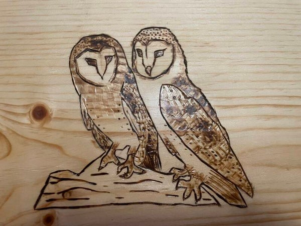 Barn Owls Wall Decoration