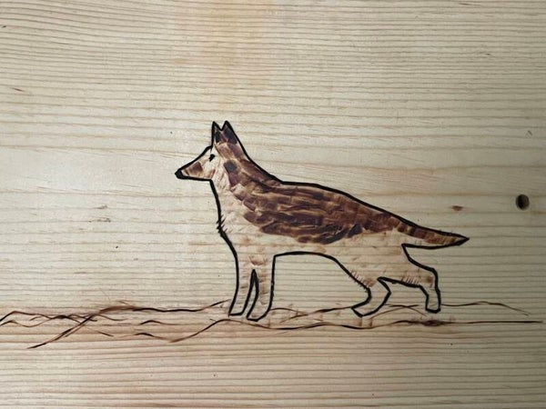 German Shepherd Board