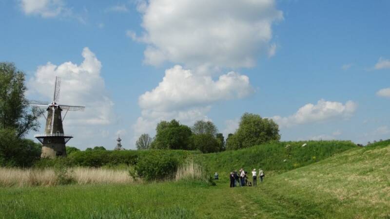 dsc03409-standard.jpg