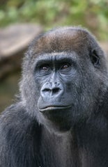 _DSC6183-1jpg1.jpg