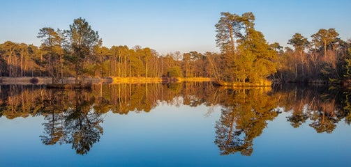 0r9a2655-3.jpg